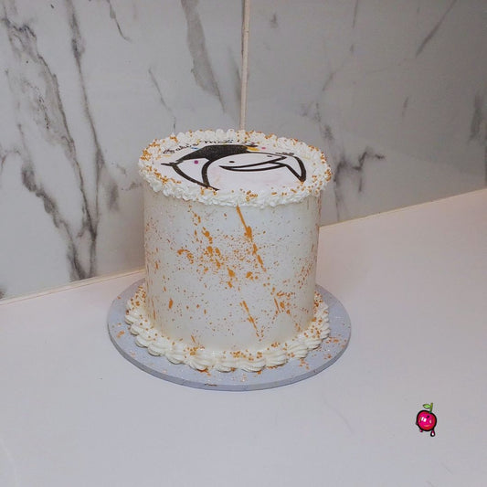 Doodle Graduation Theme Cake