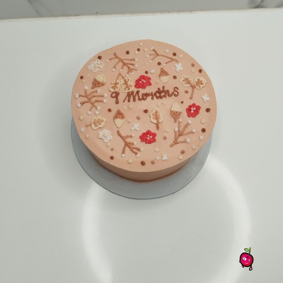 9 Months Bento Cake