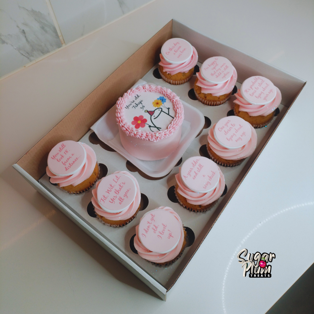 Your Old Doodle Bento & Cupcake Box Set