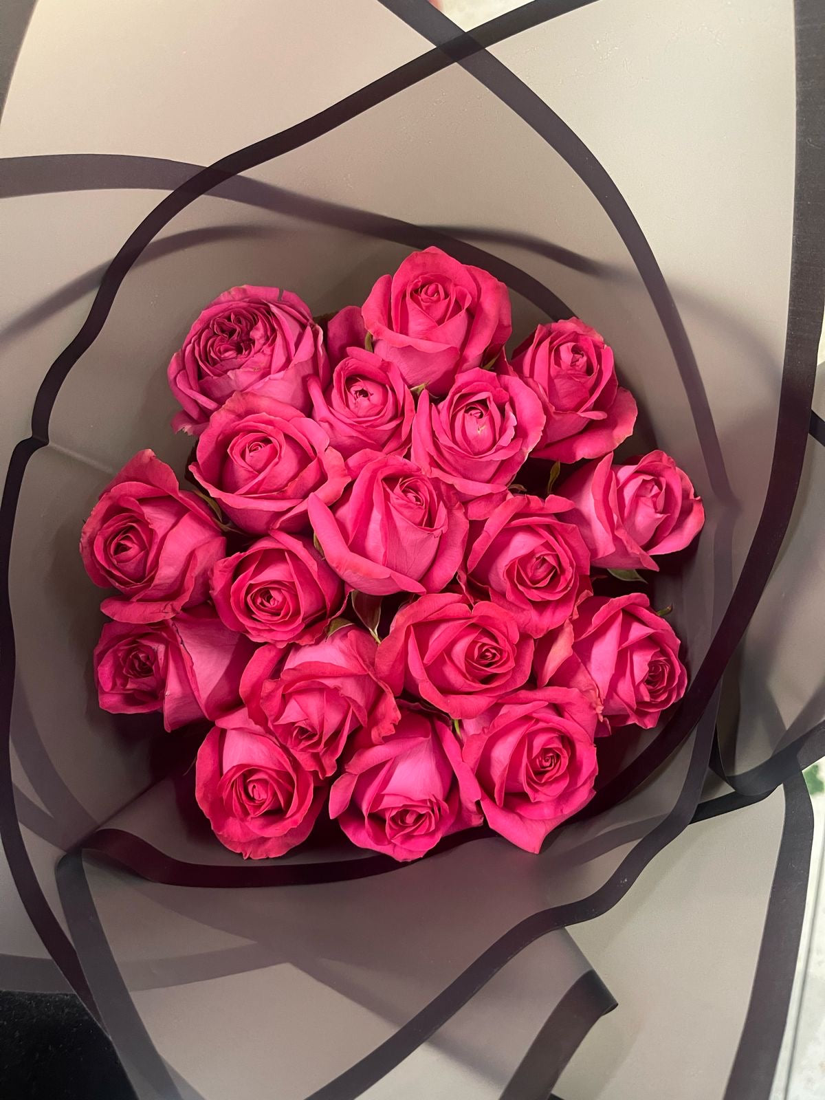 Fuchsia Pink Roses