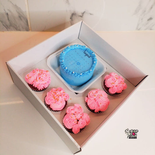 Pastel Pin & Blue Burn away Bento Cakes & Cupcakes