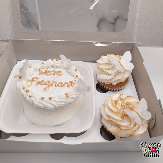 We're Pregnant Lunchbox Cake & Cupcakes